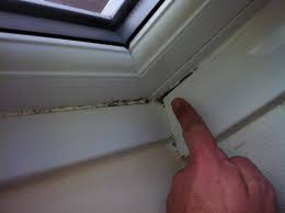 It also can be a health hazard, so always rid your windowsill of mold as soon as you notice it. Mould On Window Sills Picture Of Bonnington Beach Hotel Bournemouth Tripadvisor