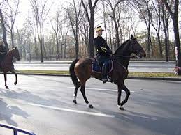 Gendarmerie Romania Wikipedia