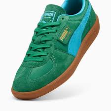 Image result for Pacific Green 2001 Puma