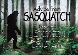 236 x 276 jpeg 20 кб. Spend Time In The Woods Advice From Sasquatch Camping Advice Sasquatch Nature Quotes True Nature Advice Quotes