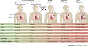 The site owner hides the web page description. Tuberculosis Nature Reviews Disease Primers