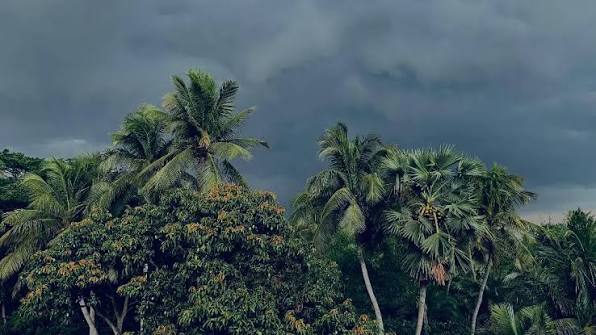 diamond harbour riverside view...🌊🌿 . . . . #monsoon vibes #nature video  #riverside #sky #beautiful #viralvideos #clouds #diamondharbour_river  🌊#diamondharbour❤️