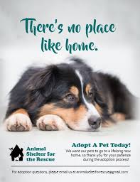 Adopt A Pet Animal Rights Poster Template Pet Adoption Event Pet Adoption Adoption Awareness