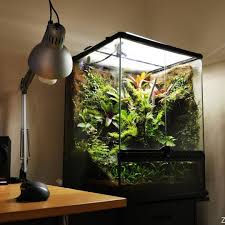 My Home Office Is Now Tidy And Green Zaquatics Aquarium Aquaticplants Nature Terrarium Vivarium Jungle Green Dart Frog Vivarium Vivarium Gecko Vivarium