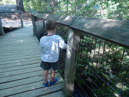 The squam lakes natural science center is unlike any place we have ever been! Squam Lakes Natural Science Center Pitstops For Kids