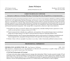 11+ Sample Executive Resume Templates - PDF, DOC | Free & Premium ...