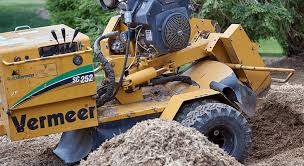 A couple of things i've noticed. Tree Stump Removal Essex Tree Stump Grinder In Essex