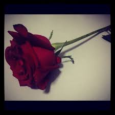 Tonton percuma, tiada bayaran dikenakan.jom belajar secara online. Diana E Ahmad On Twitter Budiey Anuarzainnet Saya Dapat Sekuntum Bunga Ros Merah Itu Http T Co Pytvafgs