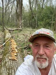 Finding Morel Mushrooms in Panola County, Mississippi