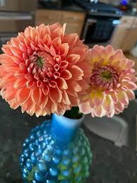 Mcknight hardware is a locally owned family business operating in greensboro nc since 1950. Garner S Florist Home Facebook
