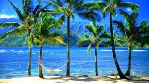 Diamond head, oahu, hawaii, usa, top view, brown and green crater. 43 Waikiki Lagoon Wallpaper On Wallpapersafari