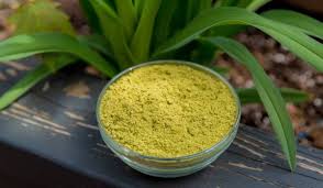 حناء الشعر للحامل Chemical Free Hair Dye Herbal Hair Dye Herbalism