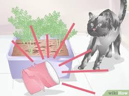 They may avoid poisonous berries, leaves or fruits if. 3 Ways To Stop Cats From Eating Indoor Plants Wikihow