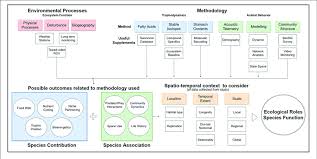 Flow Chart Of Suggested Process To Inform Ecological Roles