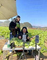 上架丰富年货推广地方特产_PG（中国电子官网）电子股份有限公司