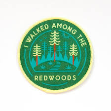 Serving new mexico with sound souvenir music local events, news, weather and interstate conditions. White Sands National Monument Souvenir New Mexico Patch Souvenirs Travel Memorabilia Collectibles