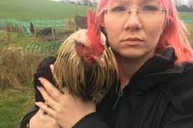 Gobby cockerel crowing at 4am in a city every day is driving locals  'bonkers'