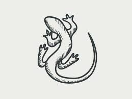 Berikut lima cara yang bisa kamu lakukan untuk mengusir cicak yang berkeliaran di rumah: Petua Hilangkan Tahi Cicak Dalam Rumah Dan Tepi Tingkap