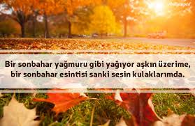O kadar bakar ki, bakmaz taş kesilmiştir taş, boynu ileri düşmüştür tanrım bize bir salıncak! Sonbahar Sozleri Sonbahar Ile Ilgili Soylenmis En Guzel 50 Soz