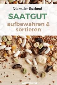 Pin Auf Wurzelwerk