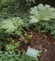 Die geschichte des garten loismann geht bis in die jahre 1894/95 zurück. Botanischer Garten Ibbenburen Aktuelle 2021 Lohnt Es Sich Mit Fotos Tripadvisor
