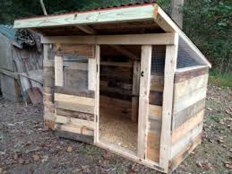 They dug a trench around it and added a barbed wire fence in the trench to keep out predators. How To Build A Pallet Chicken Coop 20 Diy Plans Guide Patterns