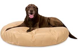 Chew proof, durable & tough! 5 Best Chew Proof Dog Beds For Rough Chewers
