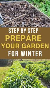 6 Simple Tips To Get Your Garden Ready For Winter Winter Vegetables Gardening Winter Garden Gardening Tips