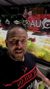 Después de mucho trabajo… por fin inauguramos 💚, Este viernes y sábado te  esperamos en AquaCR para celebrar juntos:, 🌱 Plantas grandes a precios  especiales, 🐟 Peces en promoción, 🎁 Premios por la ...