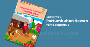 Dapatkan penjelasan bukan hanya jawaban dapatkan penjelasan bukan hanya jawaban Kunci Jawaban Tema 1 Kelas 3 Sd Halaman 137 138 139 Dan 141 Subtema 3 Pembelajaran 6