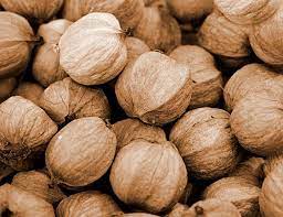 Hickory Nuts The Wild And Abundant Fall Food You Better Grab Before They Re Gone Off The Grid News Fall Recipes Nut Bread Wild Food
