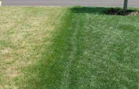 Proper mowing, watering, and observation are. Landscaper Near Me Get Your Quote Fast Jd Organic Landscape