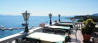 Image result for Faroa affinis