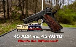 Image result for .45 acp ammo