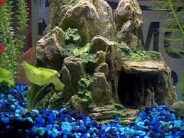 Aquarium Supplies Accessories And Equipment Aquarium Accessories Fish Tank Aquarium