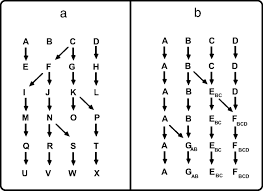 Natalie udomkesmalee ucla june 2018. Three Ambitious And Rather Unorthodox Assignments For The Field Of Biodiversity Genetics Pnas