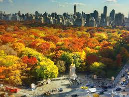 Maybe you would like to learn more about one of these? 25 Beautiful Photos Of Fall In Nyc