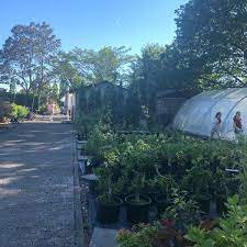 By patricia october 19, 2019 garten. Krottenau Garten