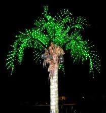 20 Lighted Palm Trees Led Ideas Palm Trees Backyard Oasis Palm