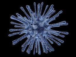 Respiratory syncytial virus (rsv) causes infections of the lungs and respiratory tract. Rsv Infektion Was Ist Das Kinderarzt Net