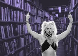 Image result for britney spears python