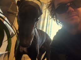 Introducing Peter Bibby's Big Horse Band, coming to a city near you this  November/December. You may recognise Mitch from previous tours, he's back  and he's thwackin' the tubs like they aint never