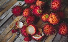 Fruits are straightforward to seek out anywhere, even young individuals will grow their own. Exotic Fruits That Will Change Your Diet Forever The Healthy