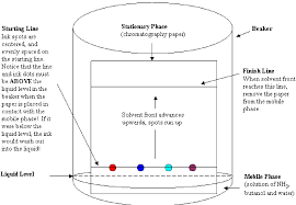 Solved 1 Why Does Ninhydrin Stain The Skin Blue What Is The Purpose Of Ninhydrin 2 What Are The Certain Technical Aspects Which Are Important In Course Hero