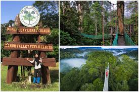 Places rantau, negeri sembilan, malaysia park hutan simpan sungai menyala, port dickson. Indahnya Bumi Lembah Danum Sabah Ni Tapi Ramai Rakyat Malaysia Tak Pernah Sampai Sini Libur