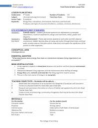 Cl Sample Constructivist Lesson Plan