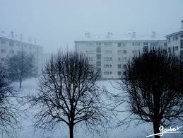Bois D Arcy Residence De La Petite Tremblaye Sous La Neige Bois Neige