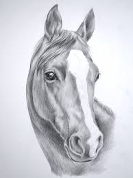 31485 Horse Head Drawings In Pencil Jpg 1191 1600 Horse Drawings Horse Head Drawing Horse Sketch