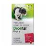 Drontal does not protect against heartworm. Https Encrypted Tbn0 Gstatic Com Images Q Tbn And9gcrubcssag6ehaadlzm6qk2texvhxxtgcnnyhbwgvotykoo2fqgg Usqp Cau