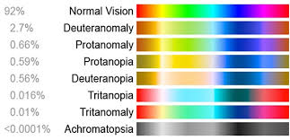 Understanding Colour Blindness Lenstore Co Uk